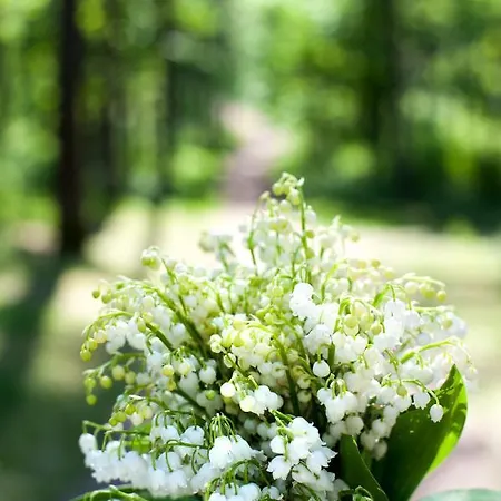 شقة Teika No 1 In A Quiet Area, Self Check-in