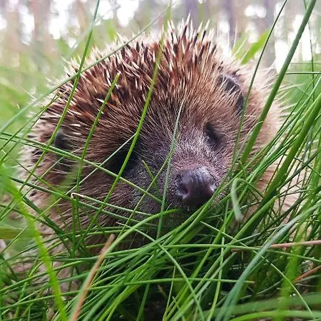 아파트 Teika No 1 In A Quiet Area, Self Check-in *