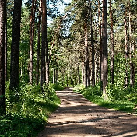 Teika No 1 In A Quiet Area, Self Check-in Διαμέρισμα *