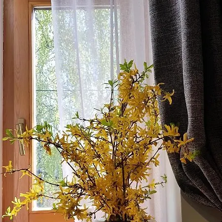 Apartment Teika No 1 In A Quiet Area, Self Check-in Riga