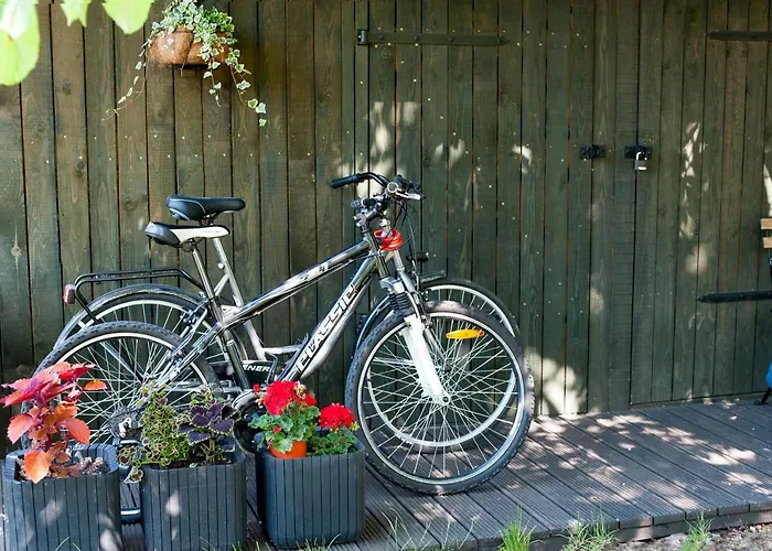 Teika No 1 In A Quiet Area, Self Check-in Apartment Riga