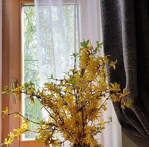 Apartment Teika No 1 In A Quiet Area, Self Check-in Riga