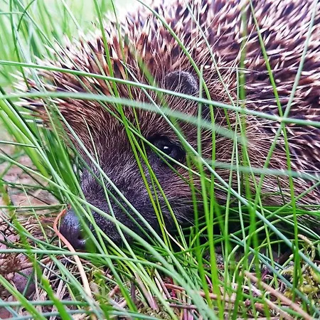 アパート Teika No 1 In A Quiet Area, Self Check-in