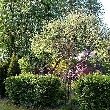 Teika No 1 In A Quiet Area, Self Check-in アパート リガ